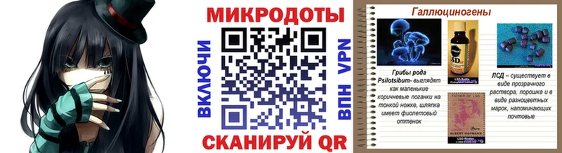 купить   Муравленко  Галлюциногенные грибы Psilocybine cubensis 