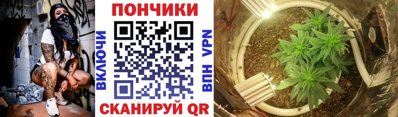 Каннабис семена Муравленко